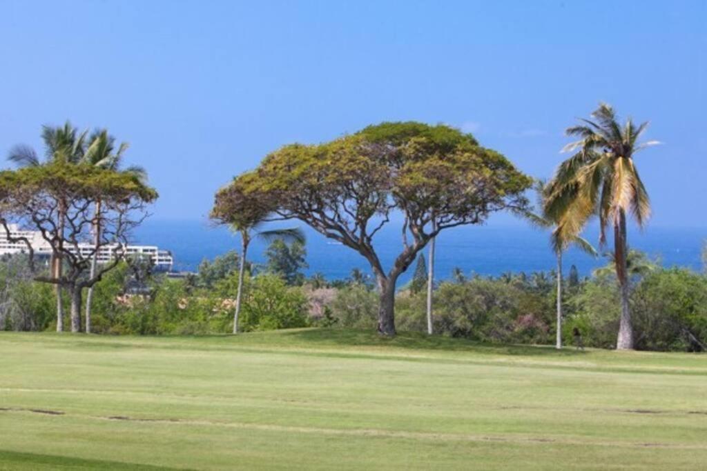 Beautiful 2/2 Condo In Kailua Kona. Ocean View! ภายนอก รูปภาพ